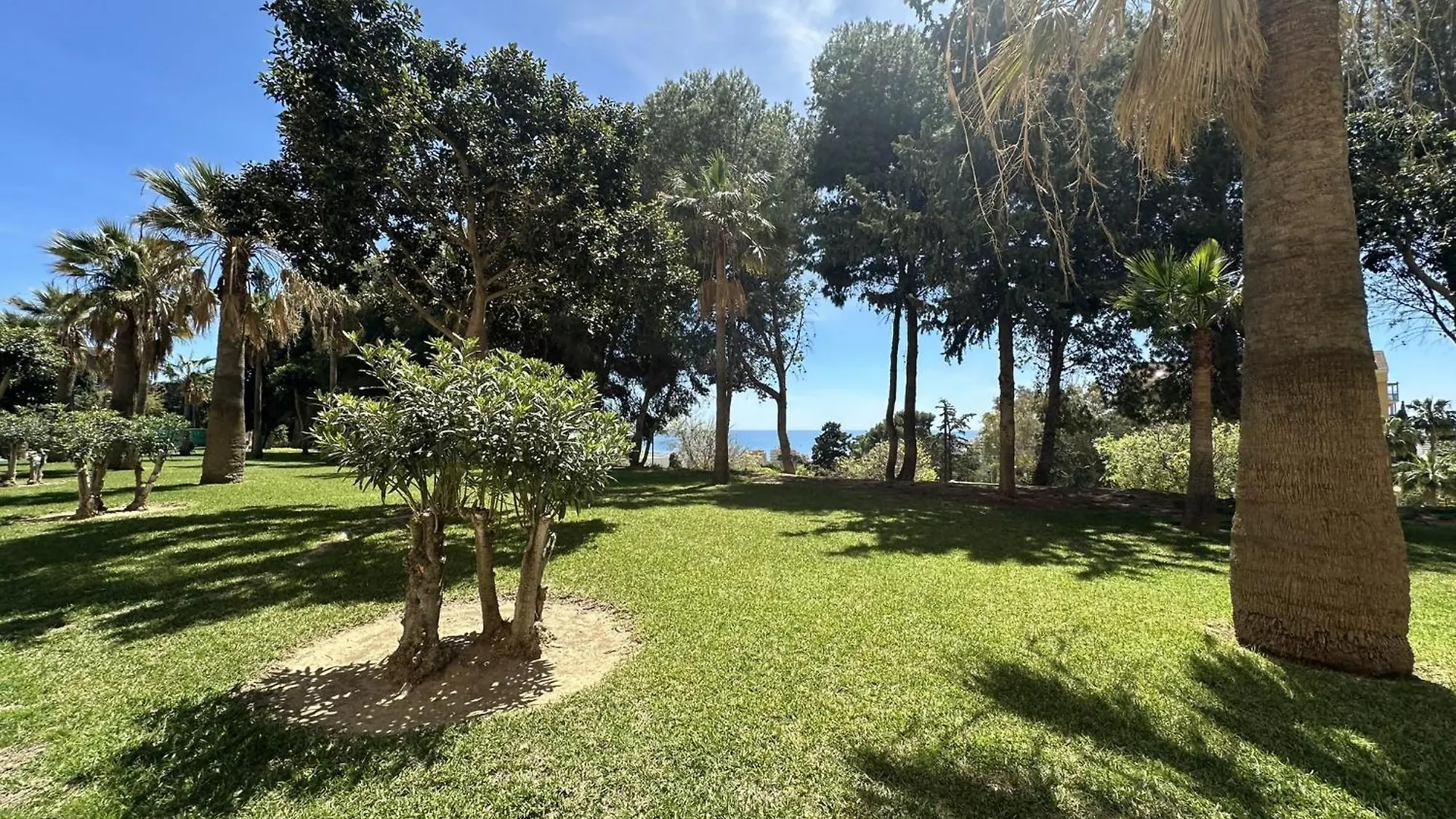 Apartment Estudio Centrico 10 Min A Playa En Benalmadena Spain